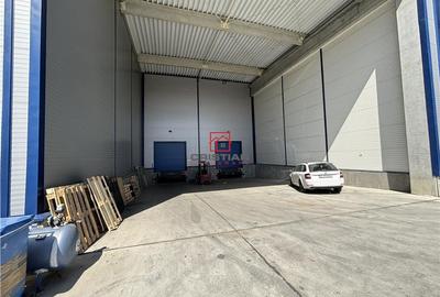Spațiu comercial, de 1,100 mp, în Mogoșoaia - 12