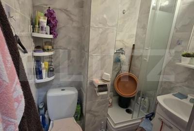 Apartament cu 2 camere semidecomandat în Stana