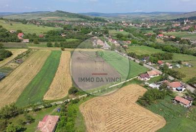 Teren de 2100 mp, în Borșa - 11