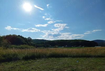 Teren de 1000 mp, în Vulcan - 3