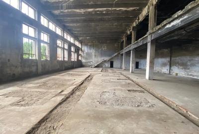 Spațiu industrial, de 30,000 mp, în Sud-Vest