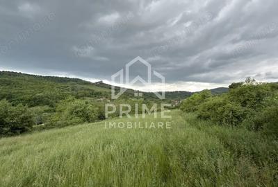 Teren de 4000 mp, în Ampoița - 2