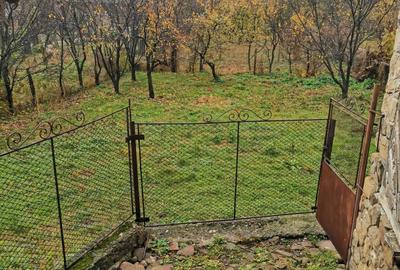Casă cu 3 camere în Buciumeni - 6