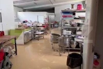 Spațiu comercial, de 1,880 mp, în Botiz - 3