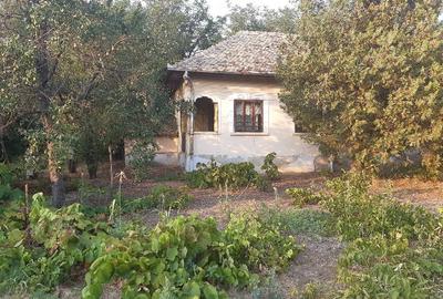 Teren de 7200 mp, în Giubega