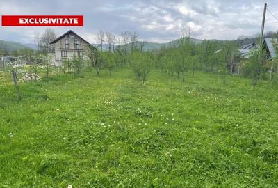 Teren Construcții intravilan de 12500 mp, în Drajna de Sus