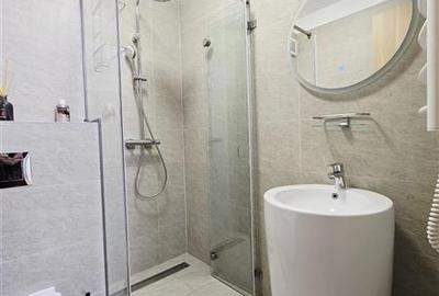 Apartament cu 3 camere decomandat, mobilat în Agronomie - 14