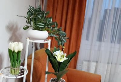 Apartament cu 2 camere, mobilat în Drumul Taberei