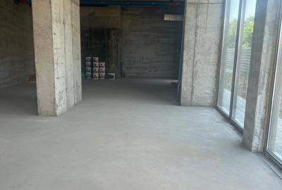 Spațiu comercial, de 131.64999389648 mp, în Odăi