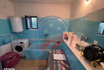 Casă cu 7 camere cu Teren 3300 Mp în Orodel - 14