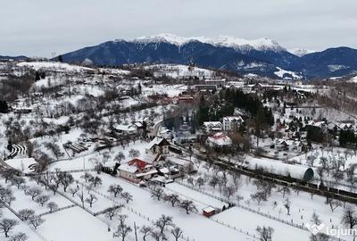 Casă cu 7 camere cu Teren 883 Mp în Bran - 12