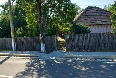 Casă cu 3 camere cu Teren 766 Mp în Sălciile