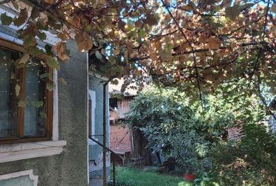 Casă cu 3 camere cu Teren 1840 Mp în Exterior Vest - 6