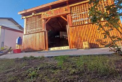 Casă cu 5 camere cu Teren 327 Mp în Central