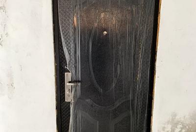 Casă individuală cu 4 camere cu Teren 2518 Mp în Otelec - 6