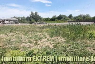 Teren în Tecuci - 1
