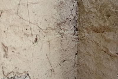 Casă cu Teren 1800 Mp în Cilibia - 2