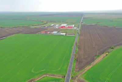 Teren Construcții extravilan de 98000 mp, în Dudeștii Noi - 2