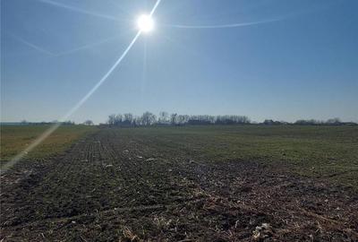 Teren de 22756 mp, în Vânători - 7