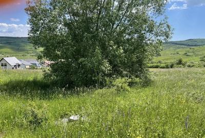 Teren de 634 mp, în Sopor - 2