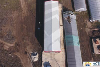 Spațiu industrial, în Berceni - 2