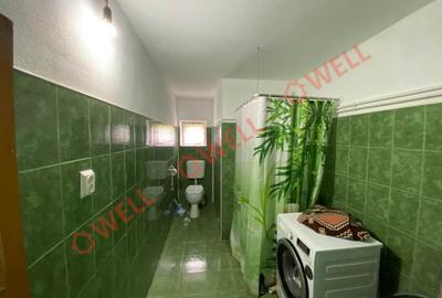 Casă cu 6 camere cu Teren 4831 Mp în Bixad - 7
