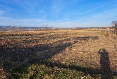 Casă individuală cu 2 camere cu Teren 4700 Mp în Capu Câmpului - 8