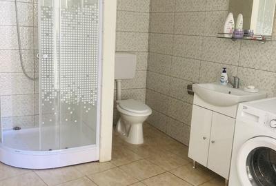 Casă individuală cu 3 camere cu Canalizare în Dacia - 6