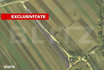 Teren de 4300 mp, în Vințu de Jos