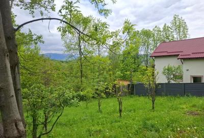 Teren de 900 mp, în Mogoșoaia - 3