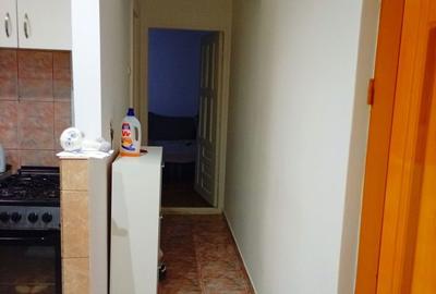 Apartament cu 2 camere semidecomandat în Dodeni - 8