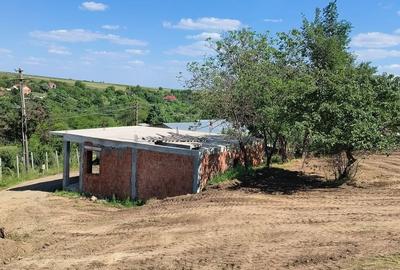 Casă cu 4 camere în Laza