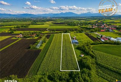 Teren de 5800 mp, în Ilieni - 5