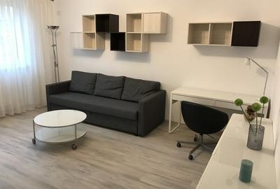 Apartament cu 3 camere decomandat în Palat - 4