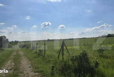 Teren de 755500 mp, în Ghizela - 3