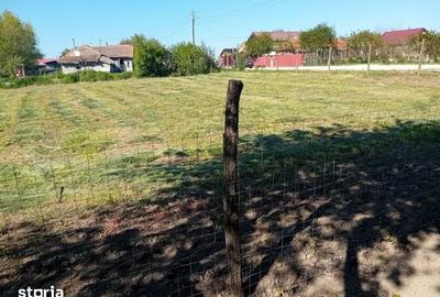 Teren de 1000 mp, în Nicolae Bălcescu - 2