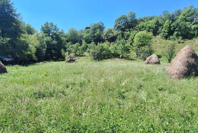 Teren de 876 mp, în Valea Doftanei