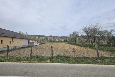 Teren de 2200 mp, în Petrani - 1