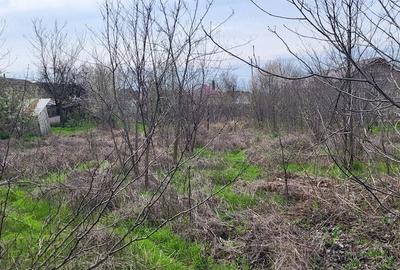 Casă cu Teren 2000 Mp în Plenița - 5