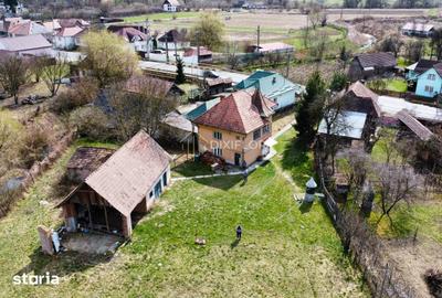 Casă cu 4 camere cu Teren 9600 Mp în Vânători - 5