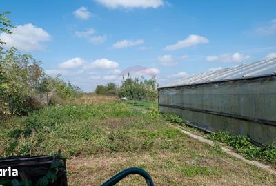 Casă cu 5 camere cu Teren 1063 Mp în Corbii Mari - 7
