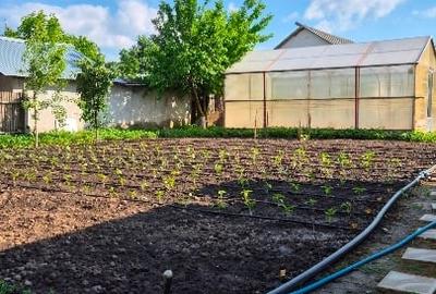 Casă individuală cu 3 camere cu Teren 969 Mp în Albina - 5