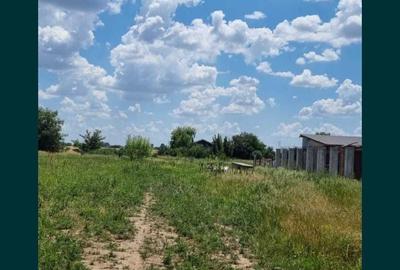 Teren de 477 mp, în Clinceni - 8