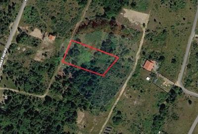 Teren agricol extravilan de 1200 mp, în Drăguș - 6