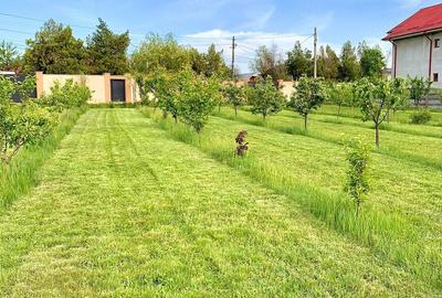 Casă cu Teren 9600 Mp în Pleșoiu