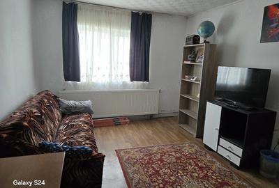 Apartament cu 2 camere decomandat în Remetea Mare - 10