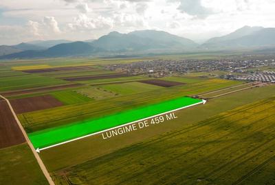 Teren Construcții extravilan de 42000 mp, în Tărlungeni - 4