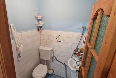 Apartament cu 2 camere în Buziașului