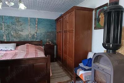 Casă cu 3 camere în Muntele Băișorii - 6