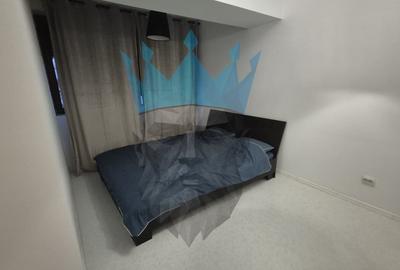 Apartament cu 2 camere decomandat, mobilat în Nicolae Grigorescu - 16